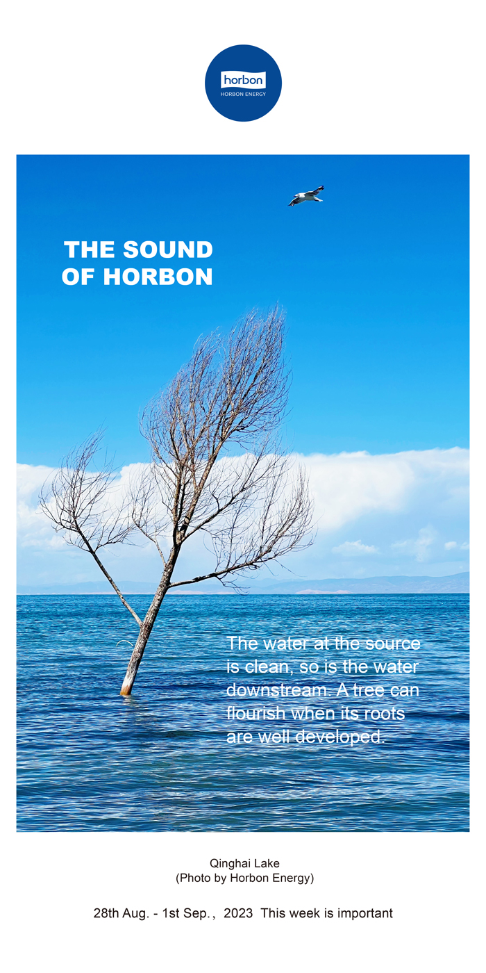 1704167879424746kZbc.jpg 1704167879424746kZbc.jpg