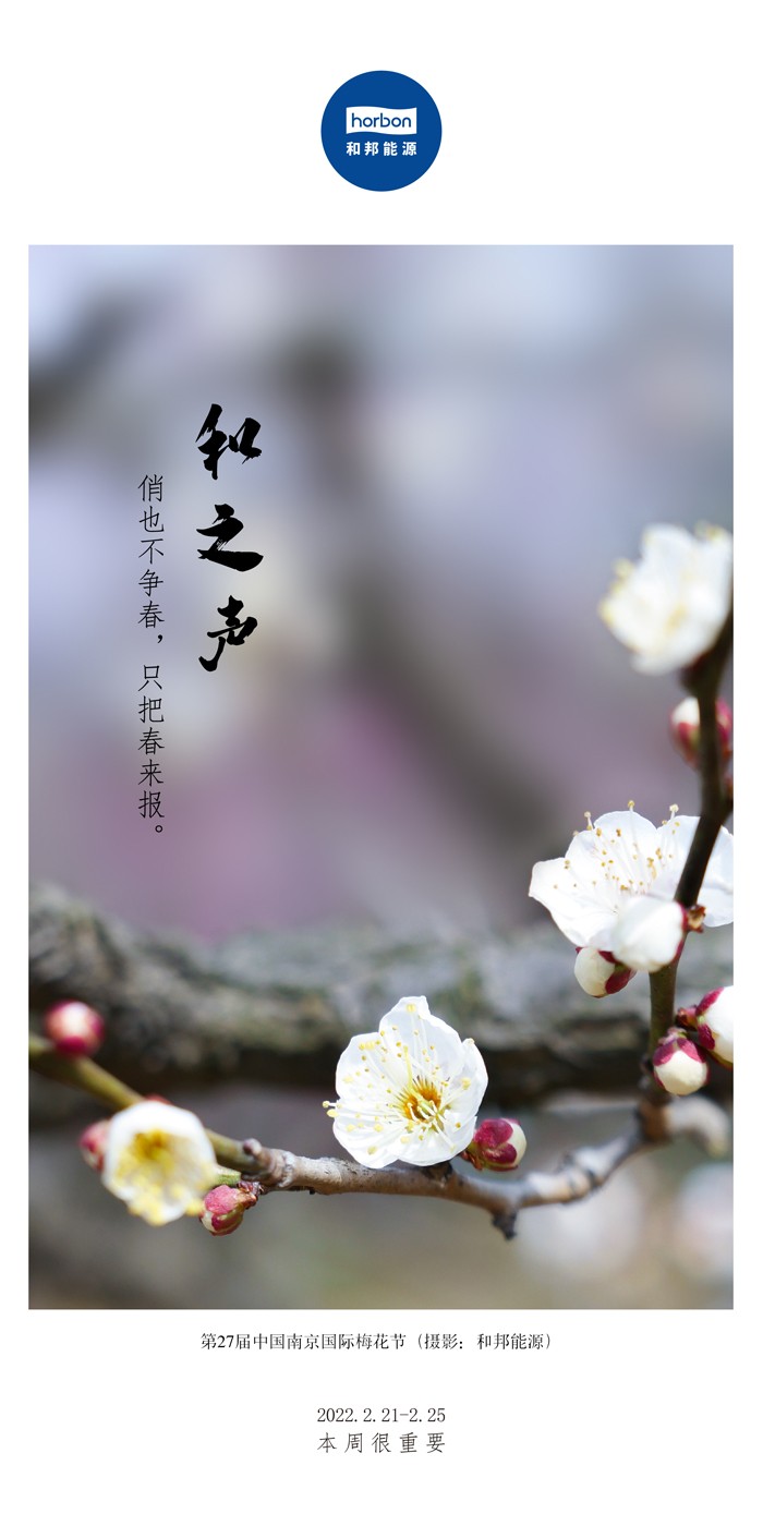 16505122612690089pgW.jpg 16505122612690089pgW.jpg