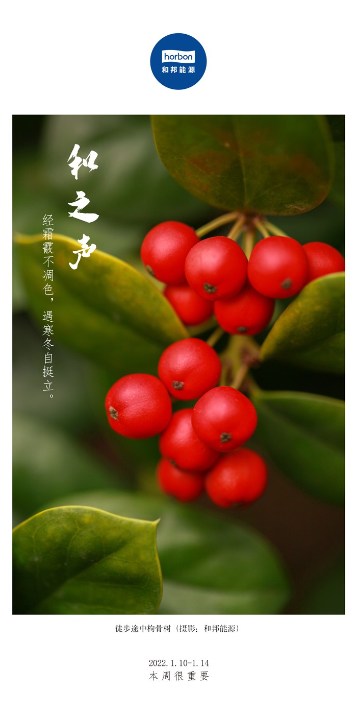 16505128947437061b4M.jpg 16505128947437061b4M.jpg