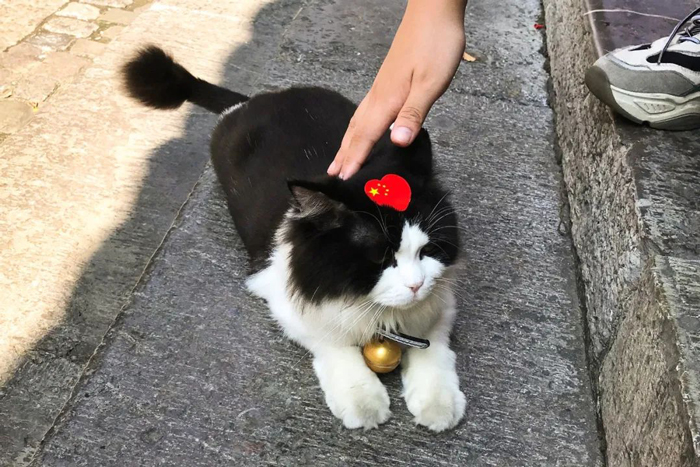 16507832079786744sQa.jpg 33.jpg