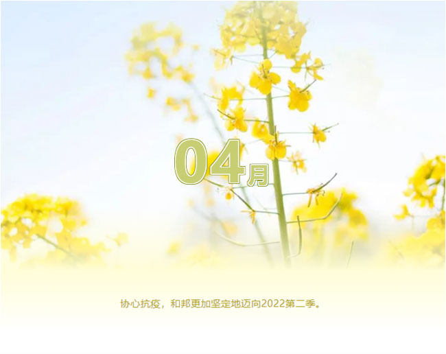 1651906199217110rzx8.jpg 1651906199217110rzx8.jpg