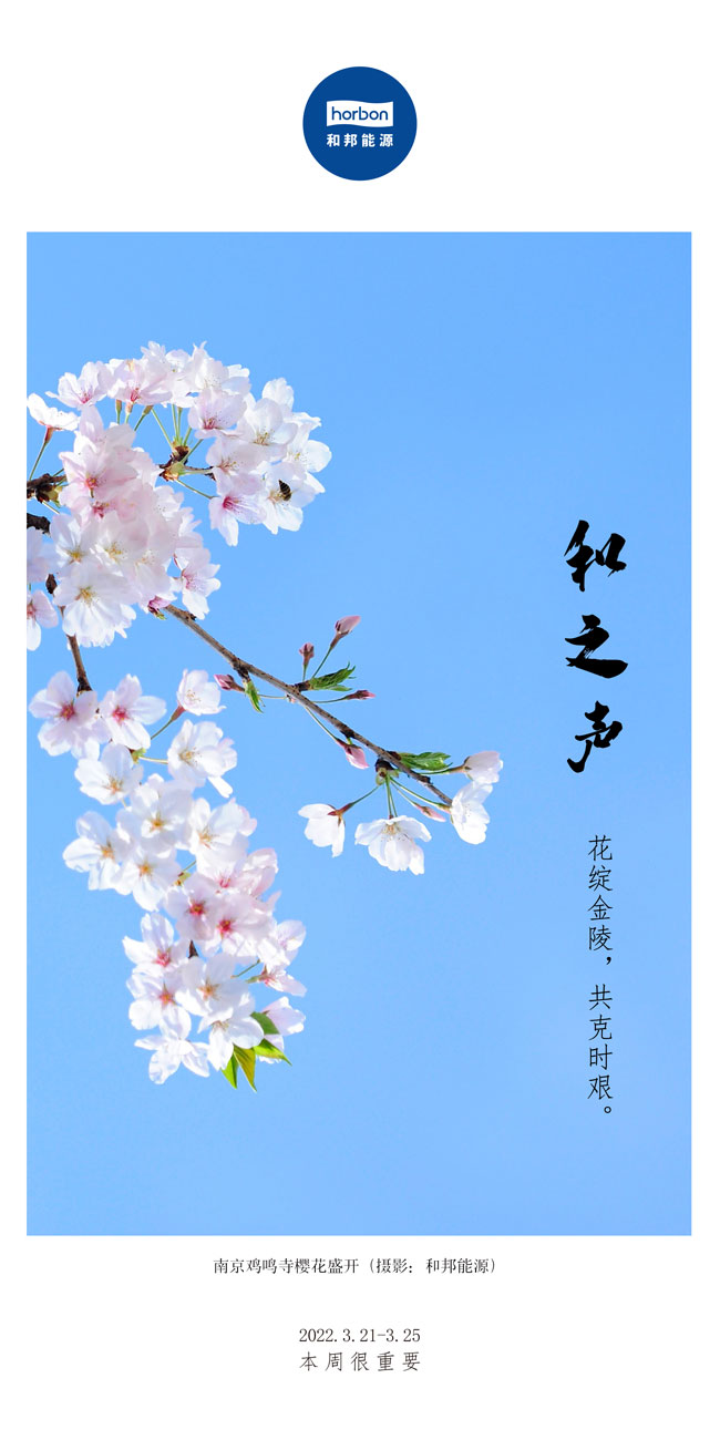 1651908383365213lB07.jpg 1651908383365213lB07.jpg