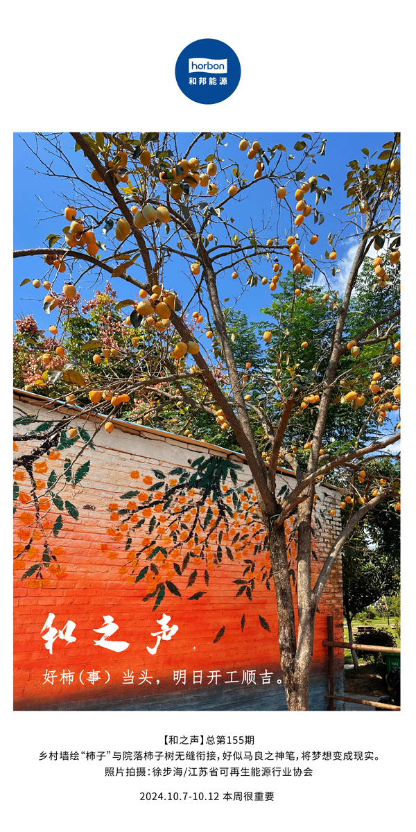 ����֮�����������£���ͷ���������������տ���˳����-(�ܵ�155�ڣ�-2024.10.7-10���ĸ�С����������.jpg