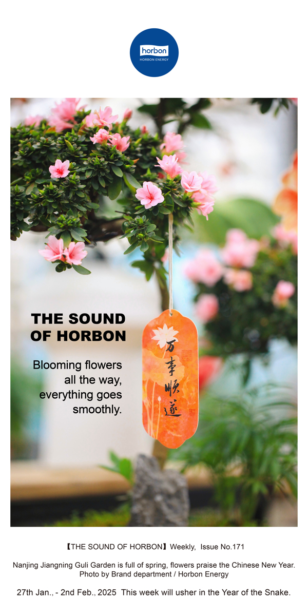 ����֮����(�ܵ�171�ڣ�һ������������������������˳����������������Ӣ�ĵ�������������.jpg