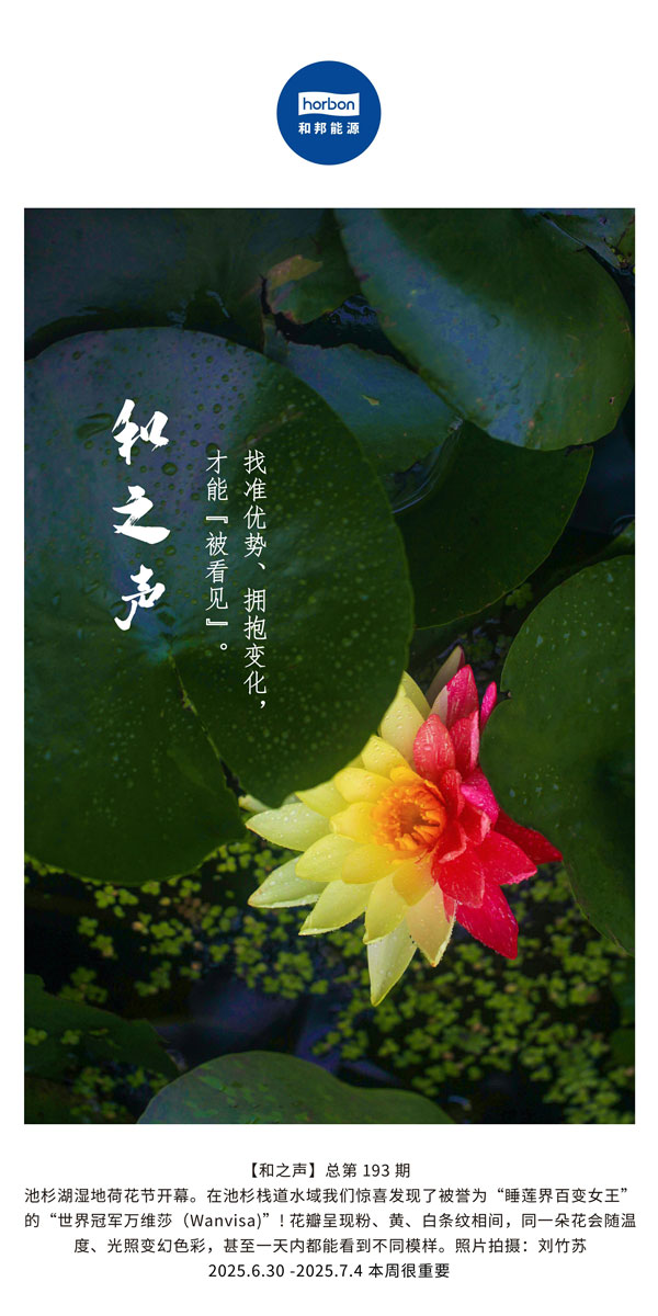 ����֮������׼���ơ�ӵ��ת�������������������Ż�������������������������(�ܵ�193�ڣ�--2025.6���ĵ�������������.jpg