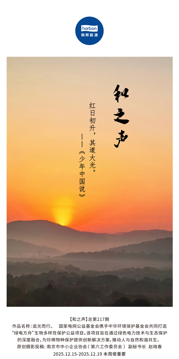 ����֮�������ճ����������������������⡣����������(�ܵ�217�ڣ�2025.12.15���ĵ�������������.jpg