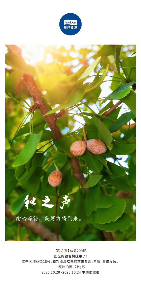 ����֮���������ڴ��������������������ս�����������������-(�ܵ�209�ڣ�2025.10.20���ĵ�������������.jpg